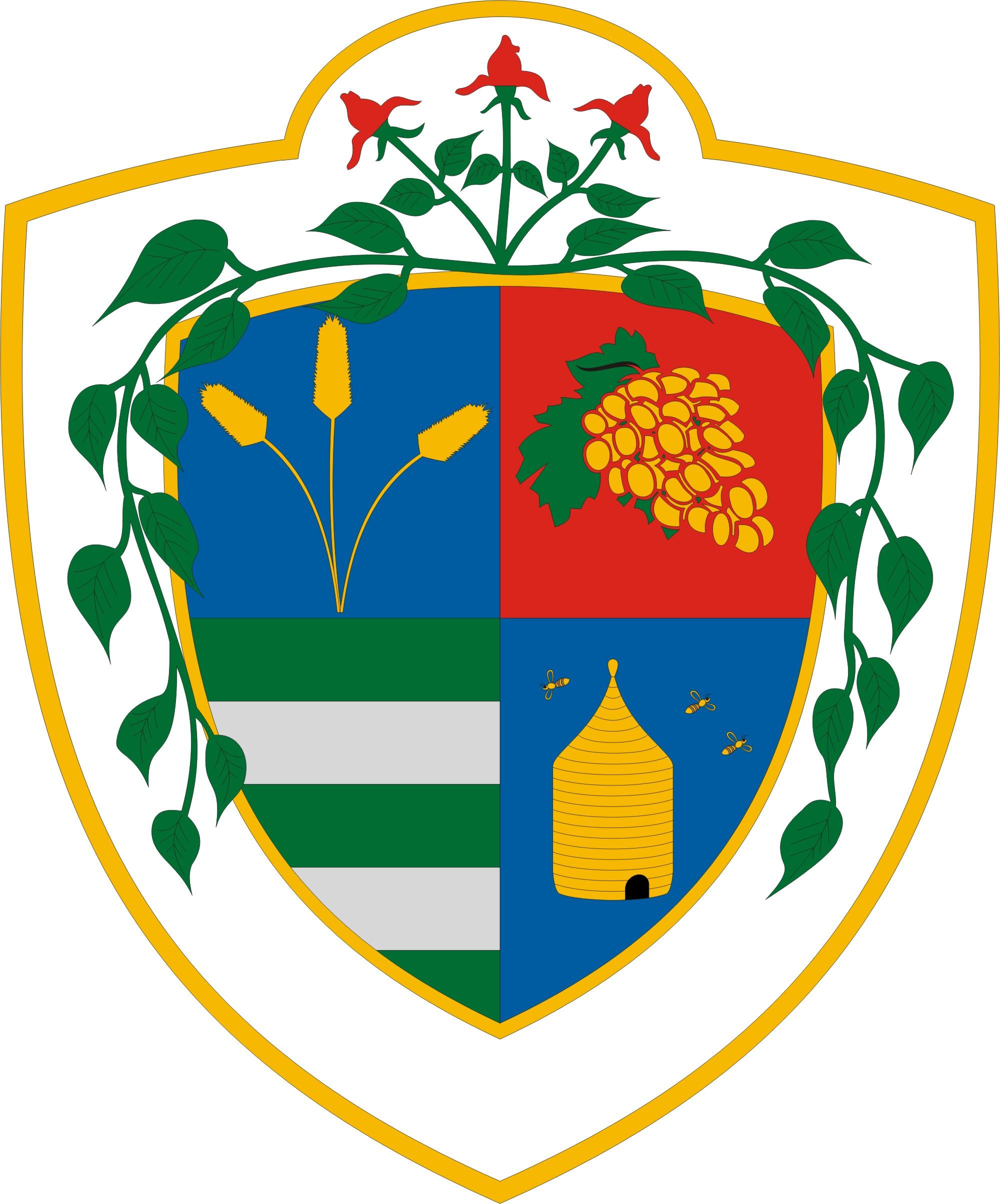 Dunaharaszti